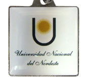 (Art. 1053) Universidad Nacional del Nordeste con dome fullcolor